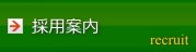 採用案内